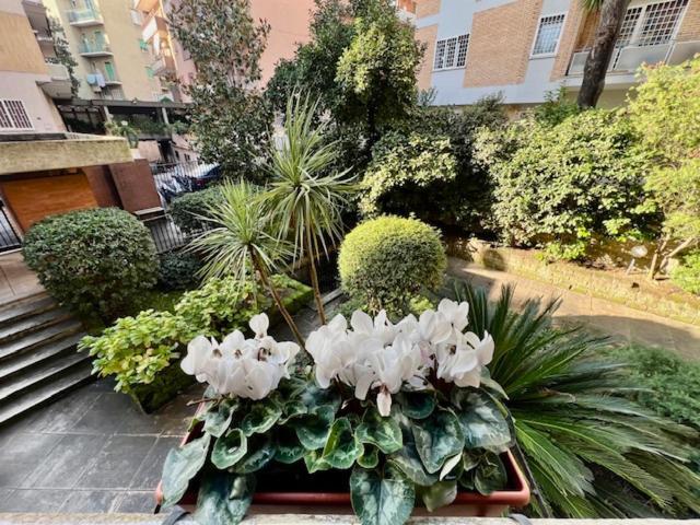Apartment La Casa Delle Camelie Rom